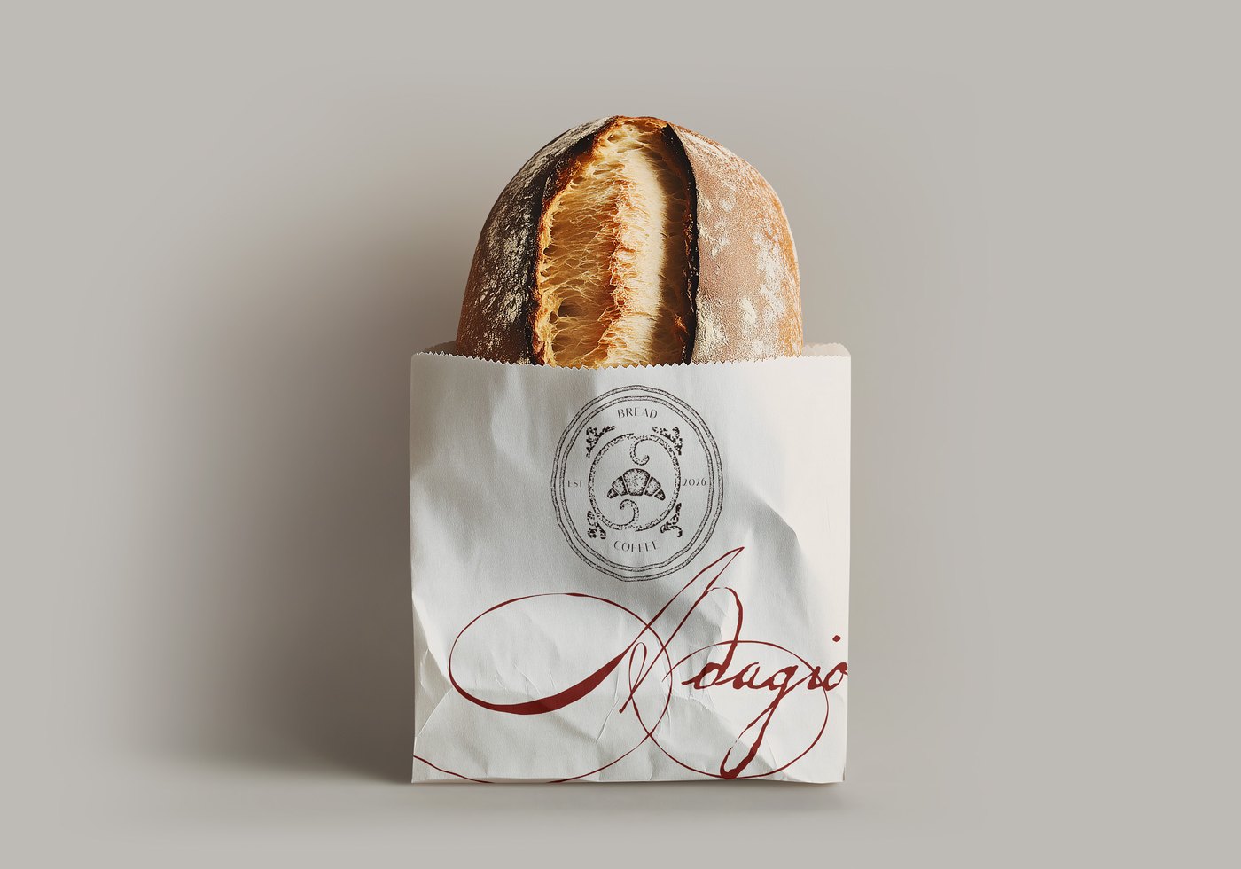 Brand identity project preview